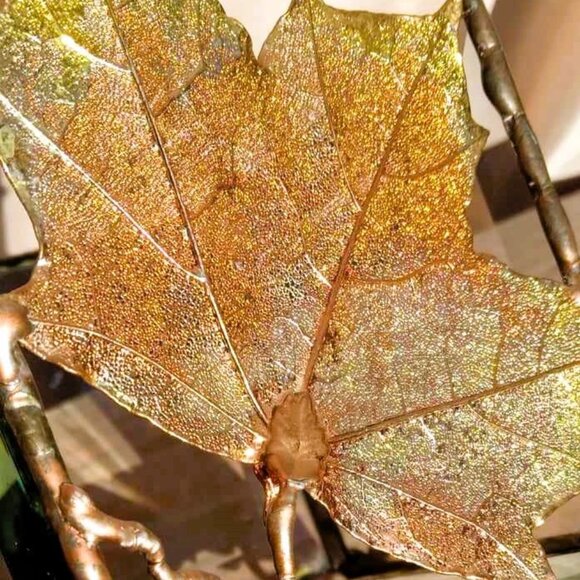 Dipped Electroplated Iridescent Copper Maple Leaf in a Beveled Glass Square - Picture 3 of 8